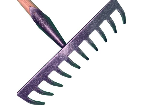 Tuinhark met 10 tanden en 140cm steel