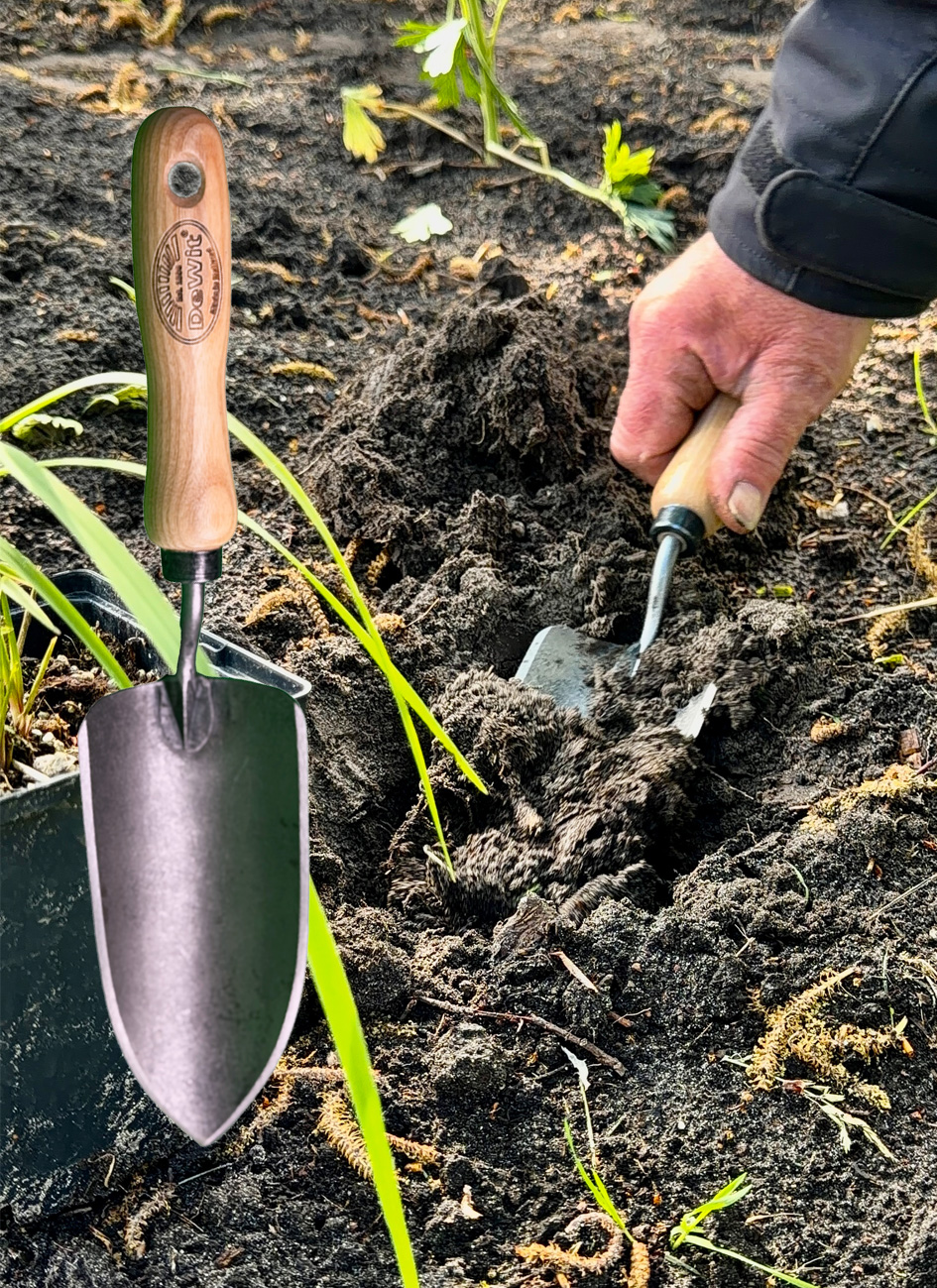 Plantschepje